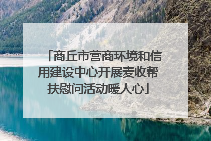 商丘市营商环境和信用建设中心开展麦收帮扶慰问活动暖人心